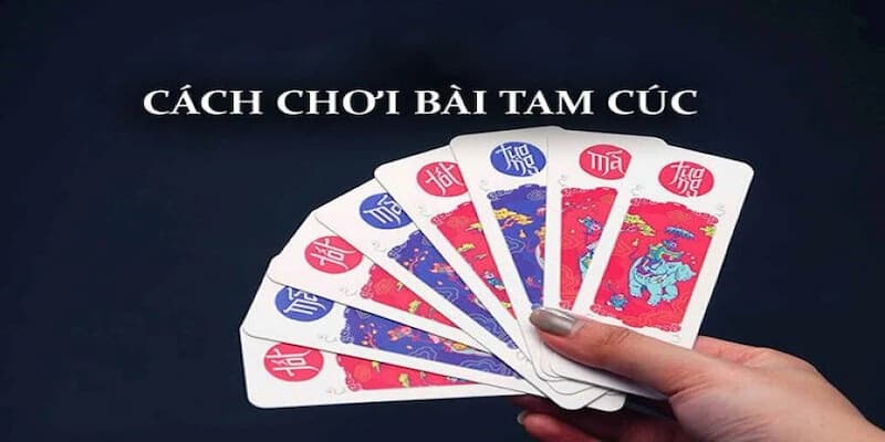 cách chơi bài tam cúc